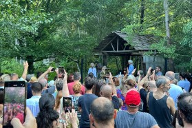 On August 2 2024, renowned musician Darko Rundek and band performed a free concert to raise awareness about the issue.